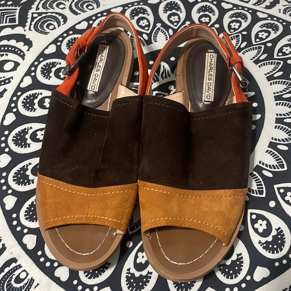 Charles David Sandals (Size 6) - Picture 4 of 13